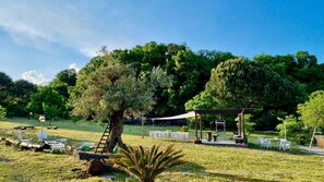 A garden with a pergola, outdoor seating, and a ladder leading to a tree. - Ancient millstone of Etna (Pedara)