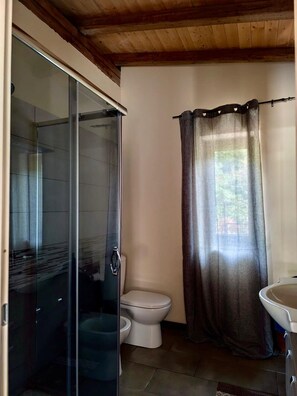 Shower, hair dryer, bidet, towels