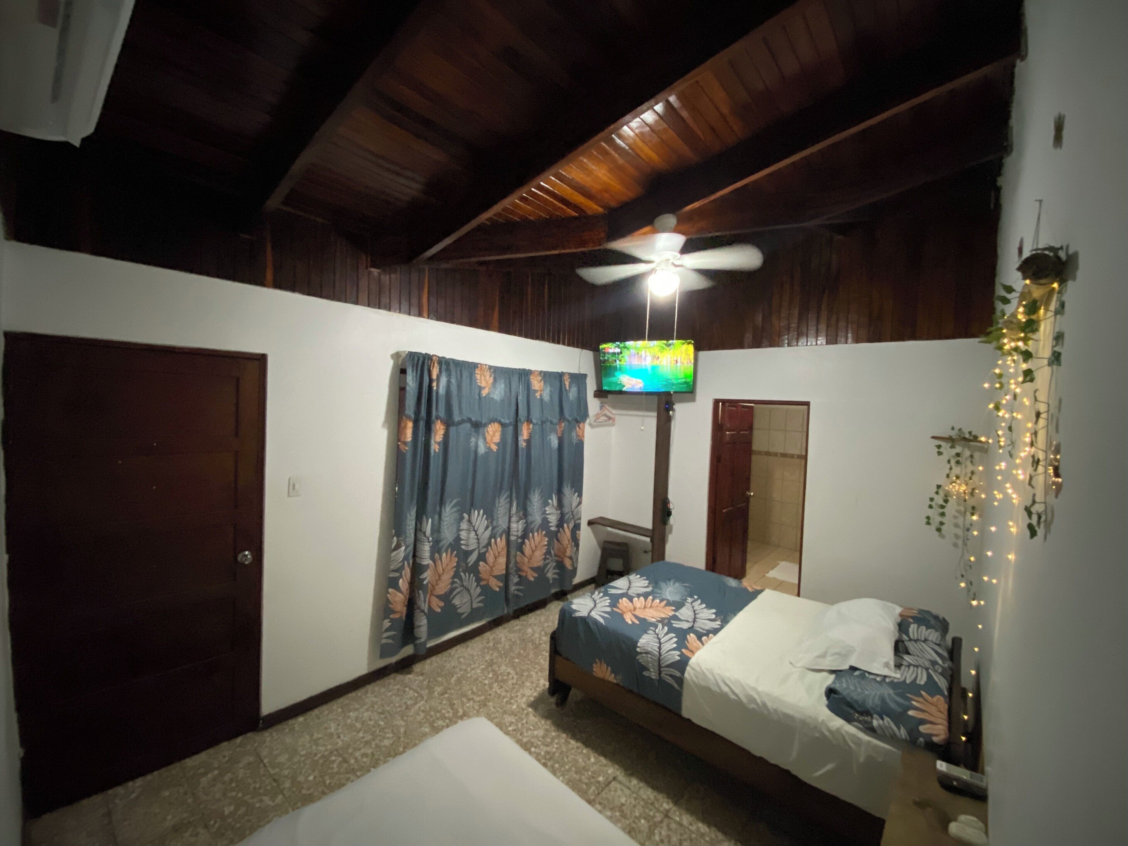 Un dormitorio con cama, ventilador de techo, televisión y una planta decorativa.
