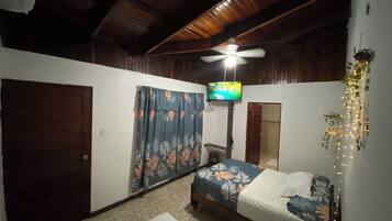 Un dormitorio con cama, ventilador de techo, televisión y una planta decorativa.