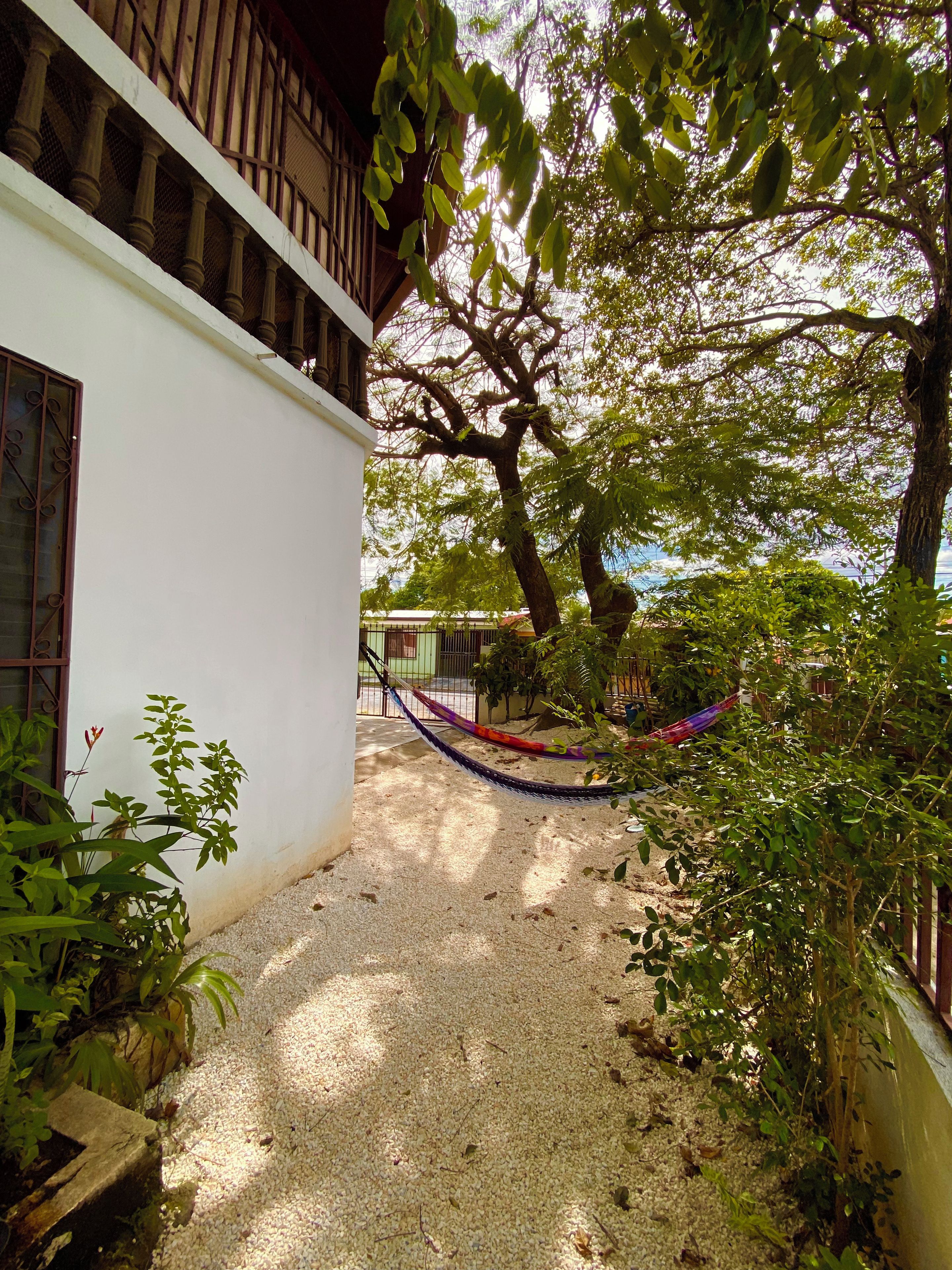 A courtyard with a hammock, a tree, and a building with a balcony.