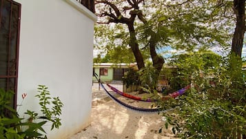 A courtyard with a hammock, a tree, and a building with a balcony.