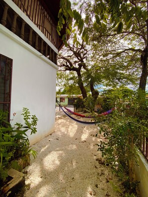 A courtyard with a hammock, a tree, and a building with a balcony. - Casa Todah B&B (Liberia)