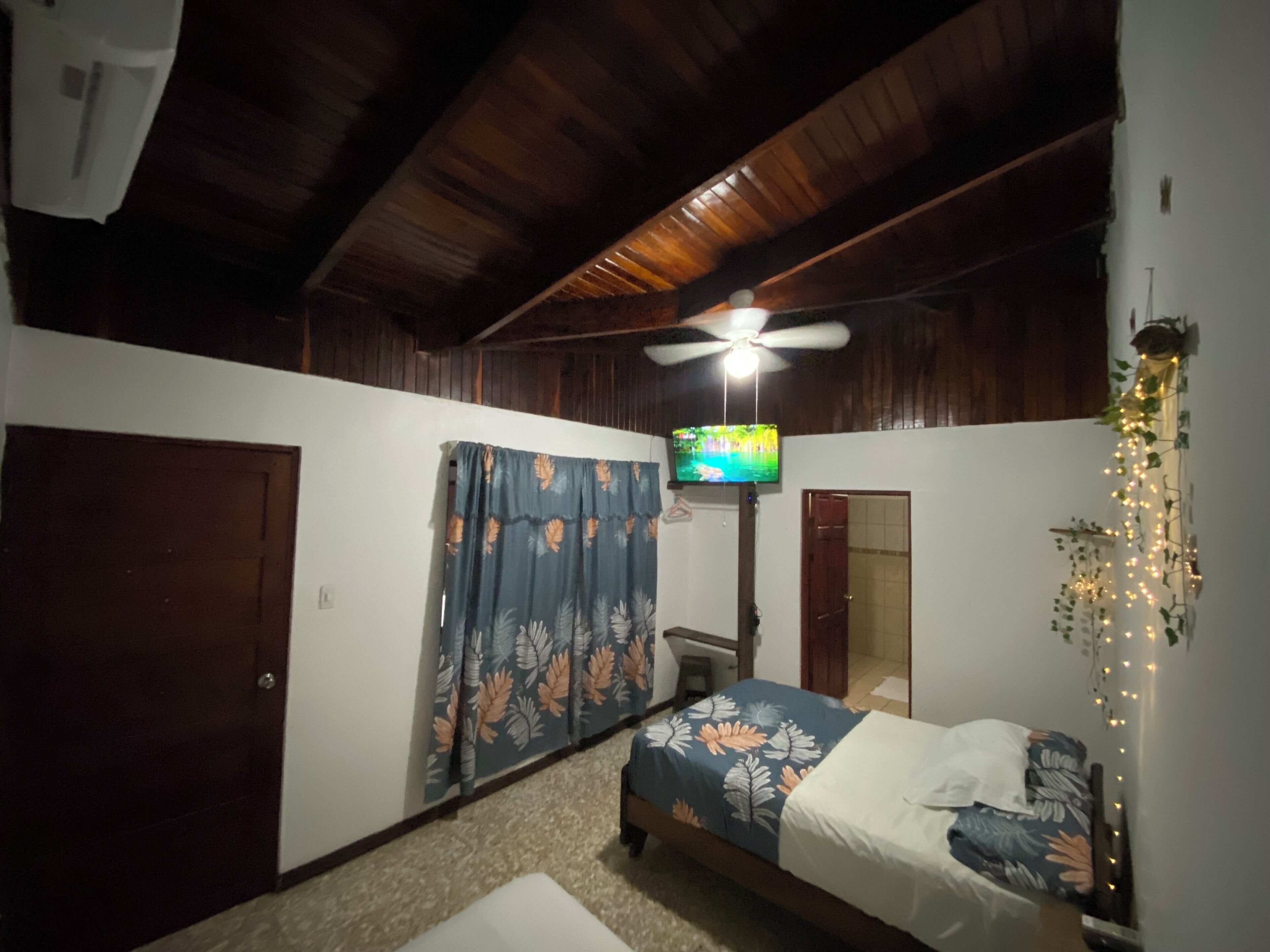 A bedroom with a bed, a ceiling fan, a TV, and a door.