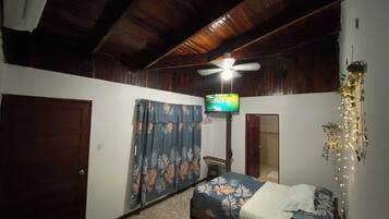 Un dormitorio con cama, ventilador de techo, televisión y una puerta.