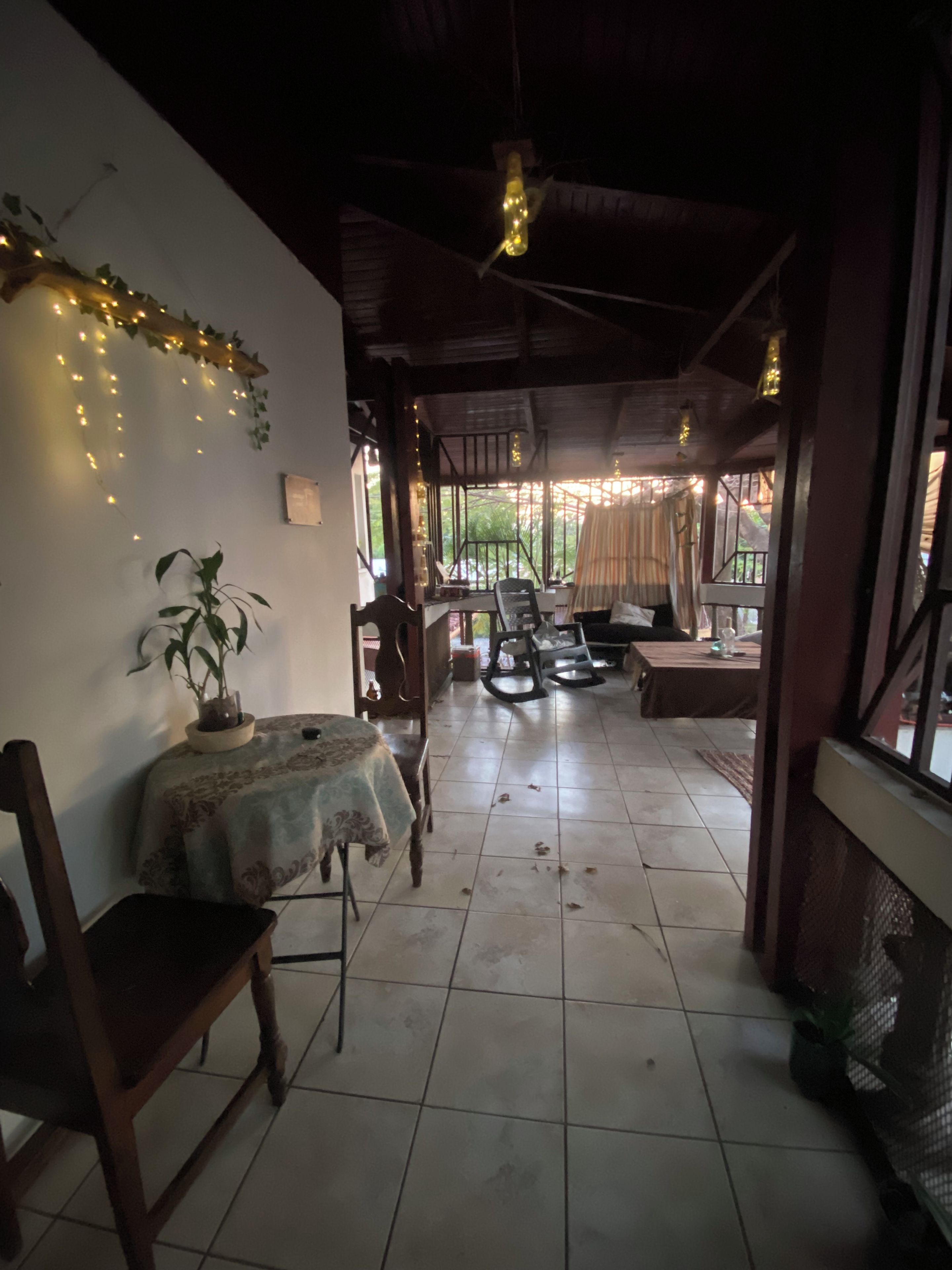 A room with a table and chairs, a potted plant, and a view through a window.
