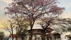 A residential building with a two-story structure, a fenced yard, and a street in front. - Casa Todah B&B (Liberia)
