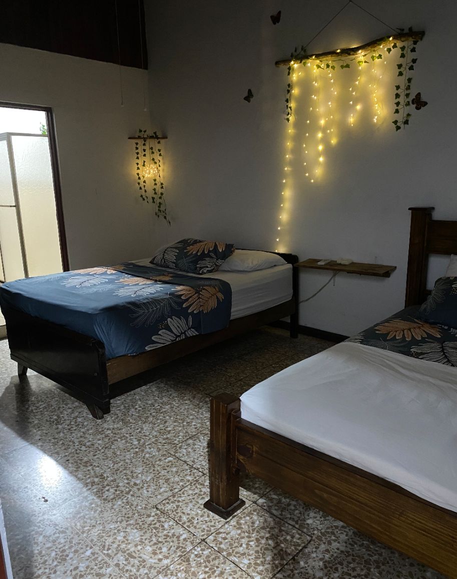 Una habitación con dos camas, una lámpara colgante y una planta en la pared.
