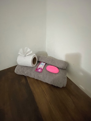 Economy Room | Iron/ironing board, free WiFi