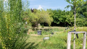 A garden with various plants, a wooden structure, and a stone wall in the background. - Bed and Breakfast 'Chambre' with Private Terrace, Shared Garden and Wi-Fi (Saint-Étienne-les-Orgues)