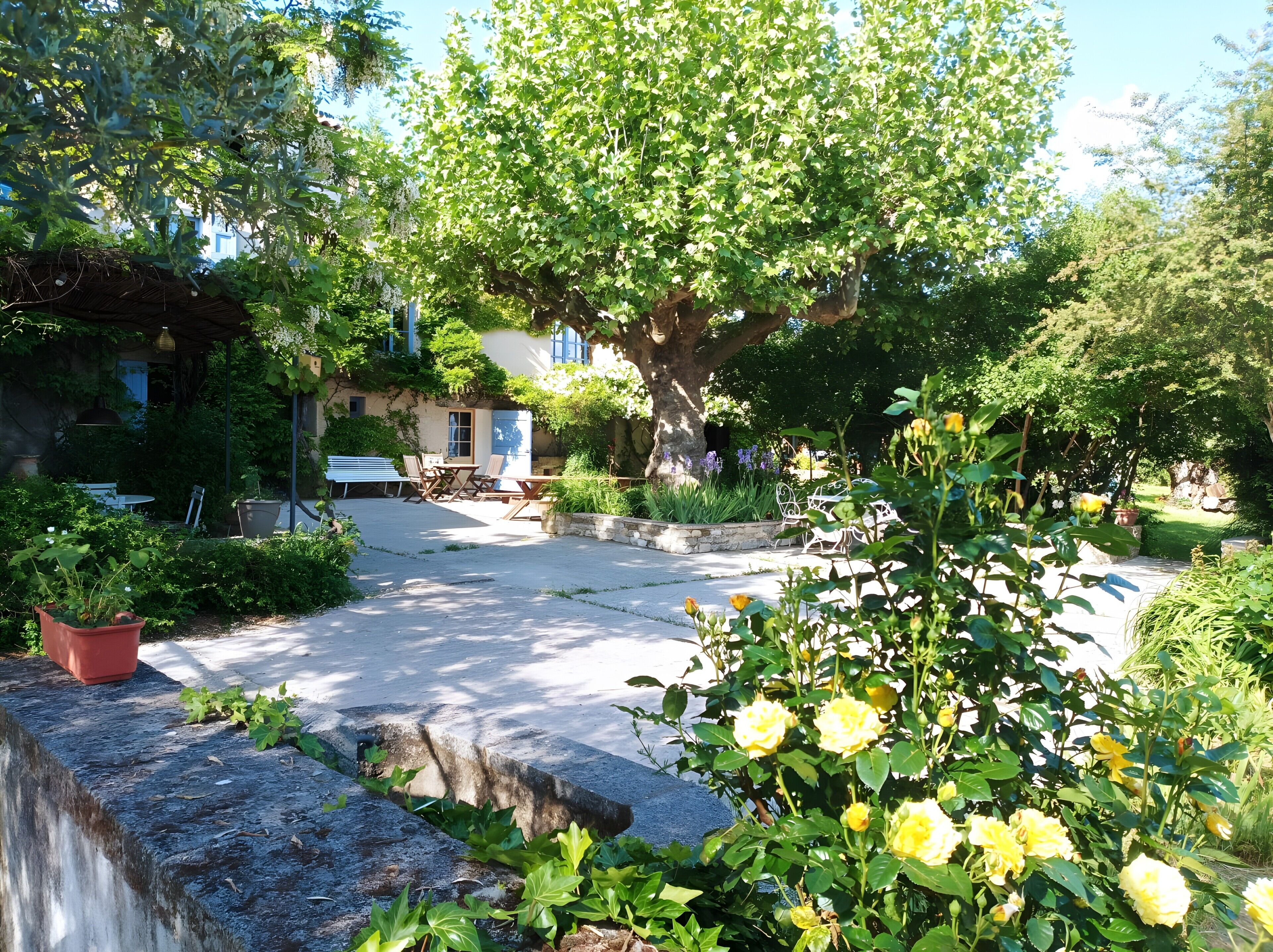 Área da propriedade