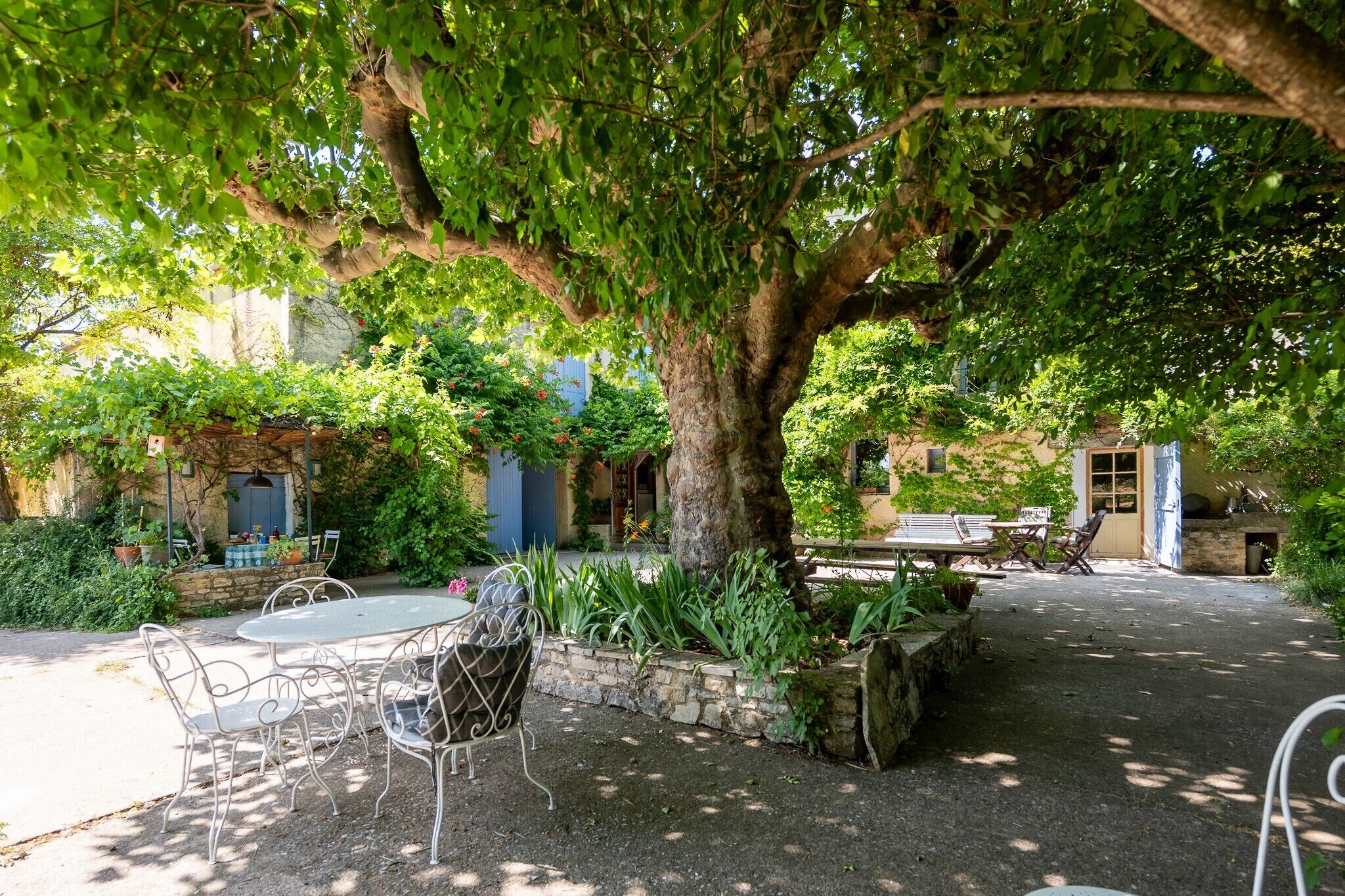Une cour avec un grand arbre, des sièges extérieurs et un mur en pierre.