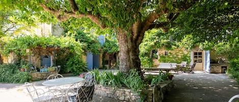 Ein Innenhof mit einem großen Baum, Sitzgelegenheiten im Freien und einer Steinmauer.