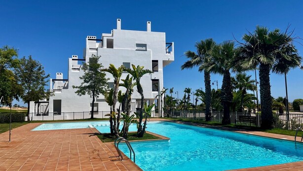 A modern building with a swimming pool and palm trees.