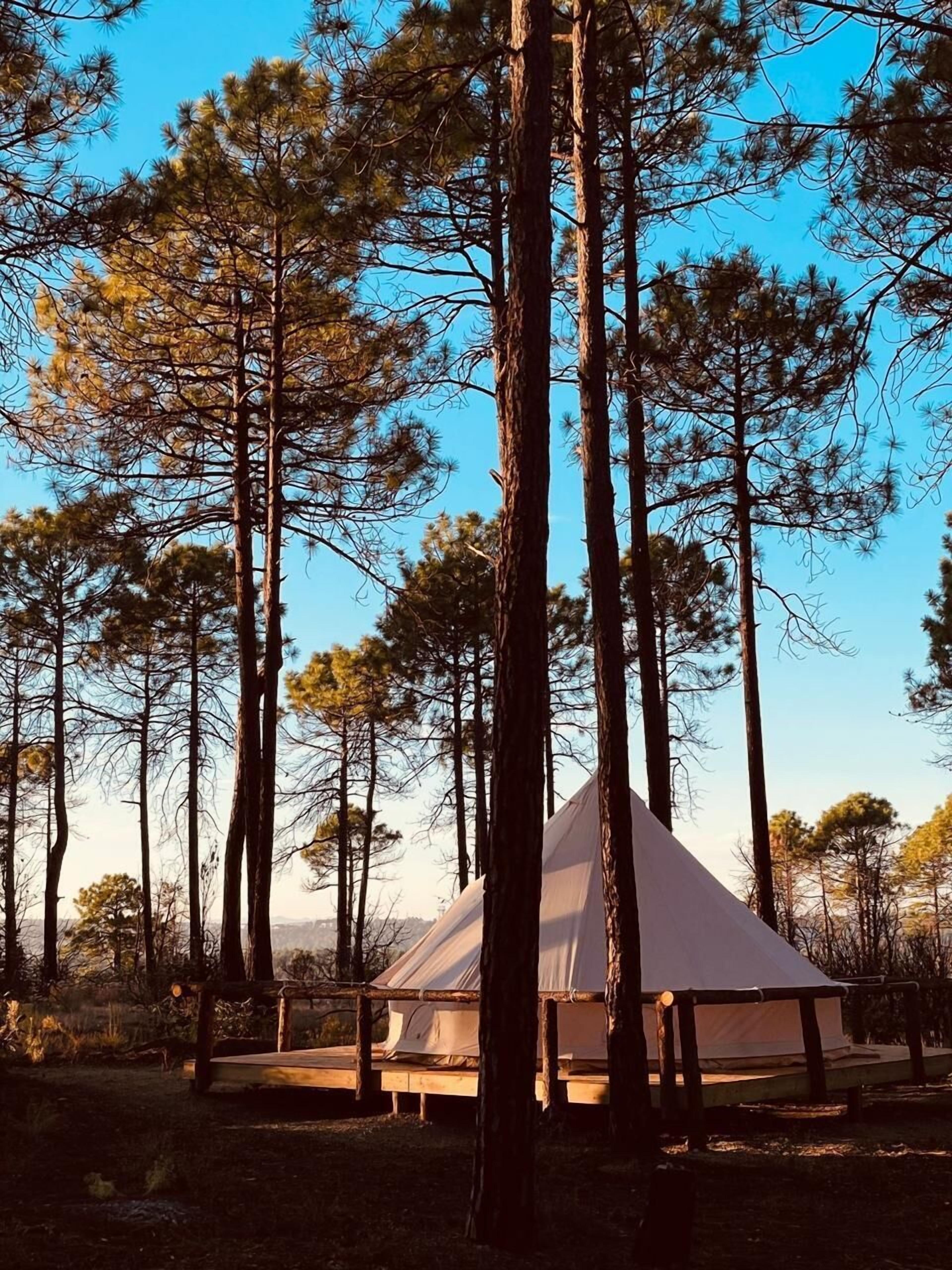 Campamento en el Bosque | Calentón + Fogata | 10 Personas