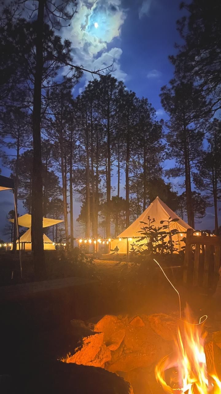 A tented campsite with a fire in the foreground, surrounded by tall trees and a night sky with a visible moon.