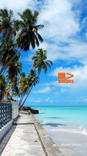 Home Beach Flats  Conforto