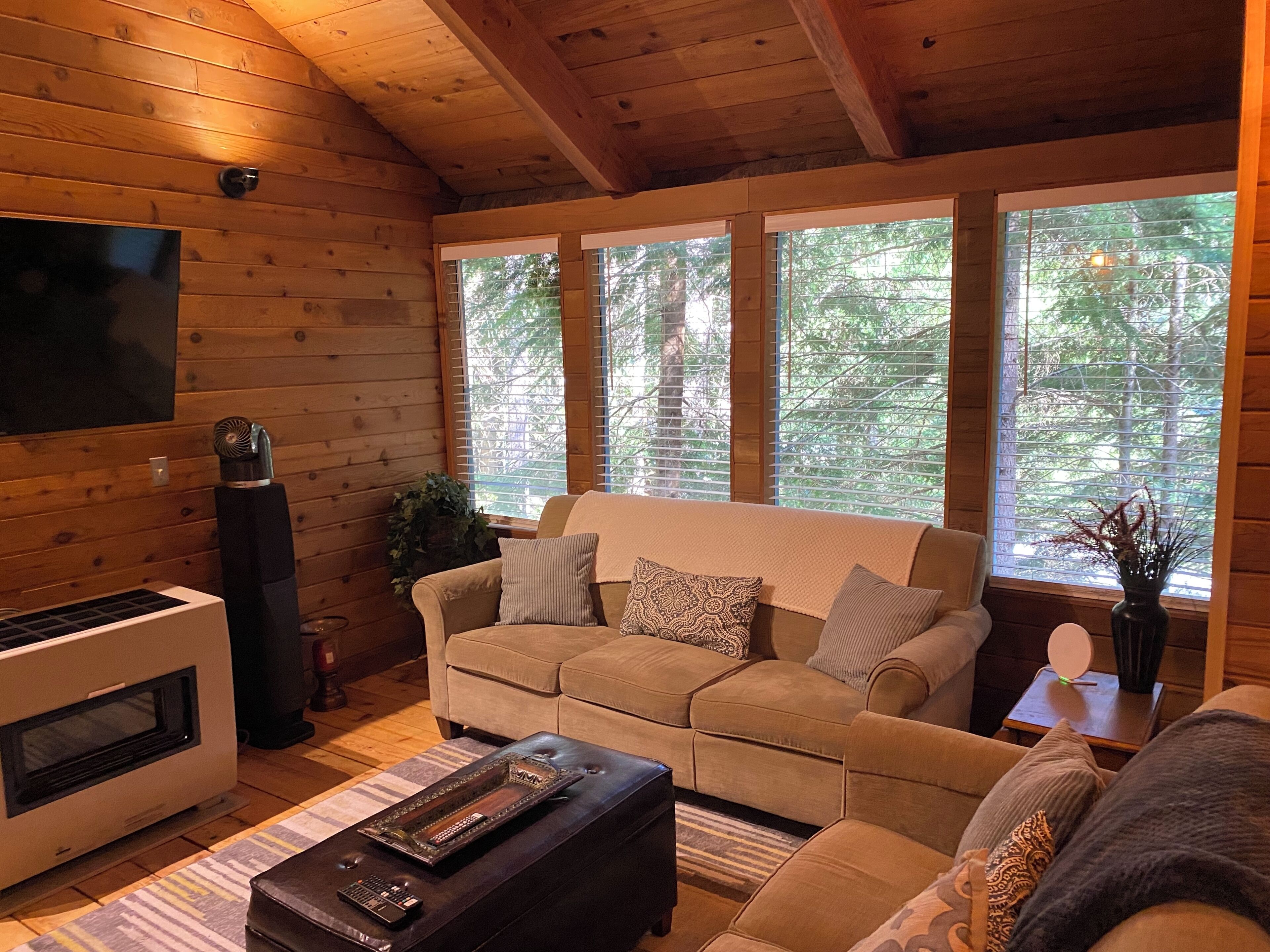 Smart TV, fireplace, DVD player, video library