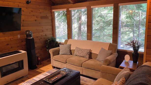 A cozy cabin interior with a sofa, a fireplace, and large windows with a forest view.