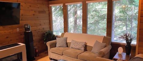 Smart TV, fireplace, DVD player, video library