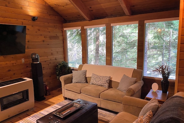 Smart TV, fireplace, DVD player, video library