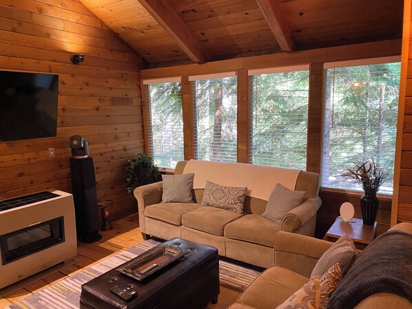 Smart TV, fireplace, DVD player, video library