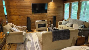 Smart TV, fireplace, DVD player, video library
