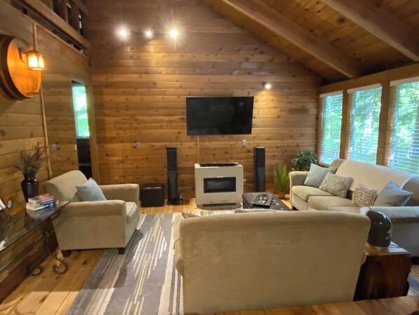 Smart TV, fireplace, DVD player, video library