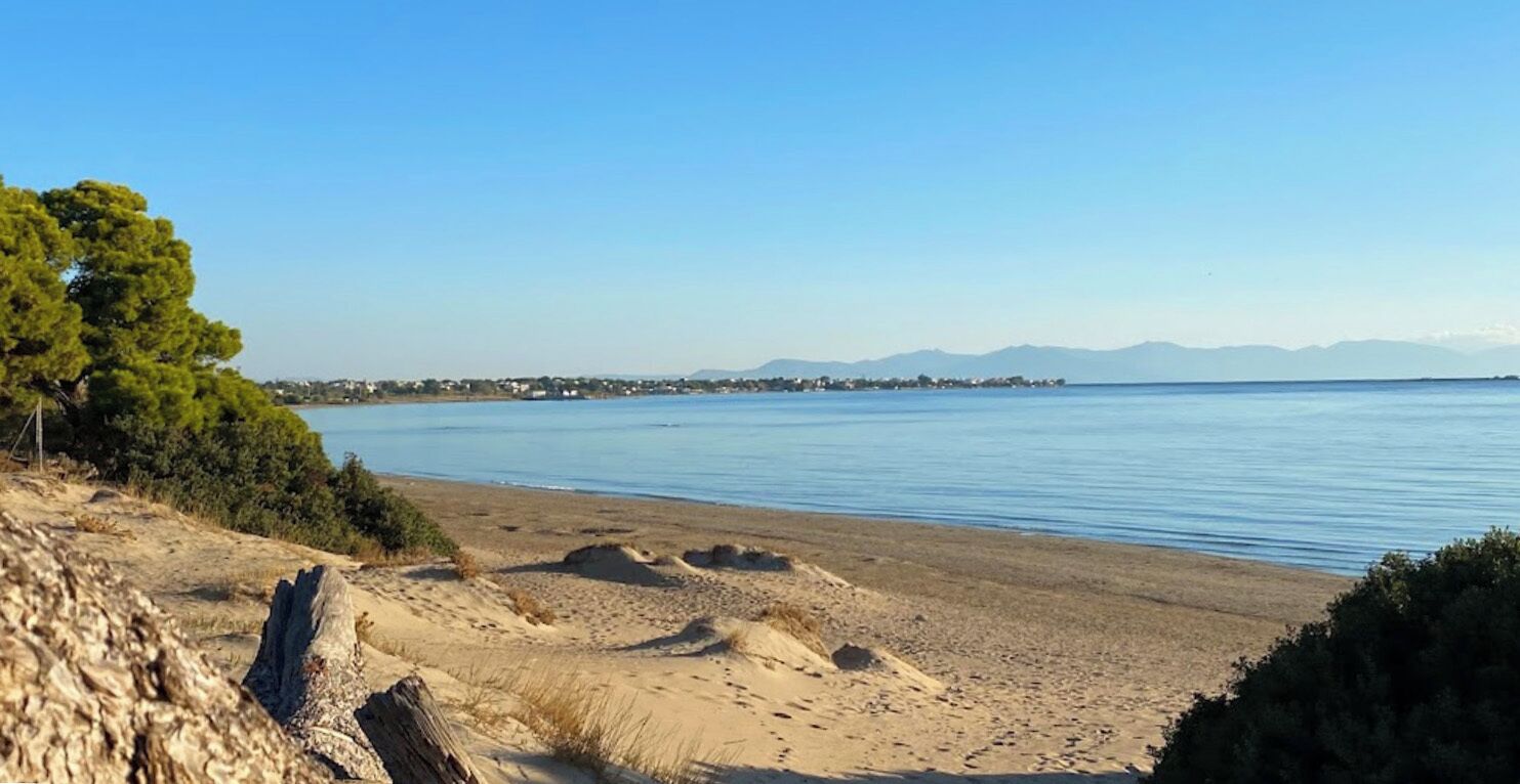 Camastros y toallas de playa 