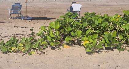 Pousada Varandas do Mar