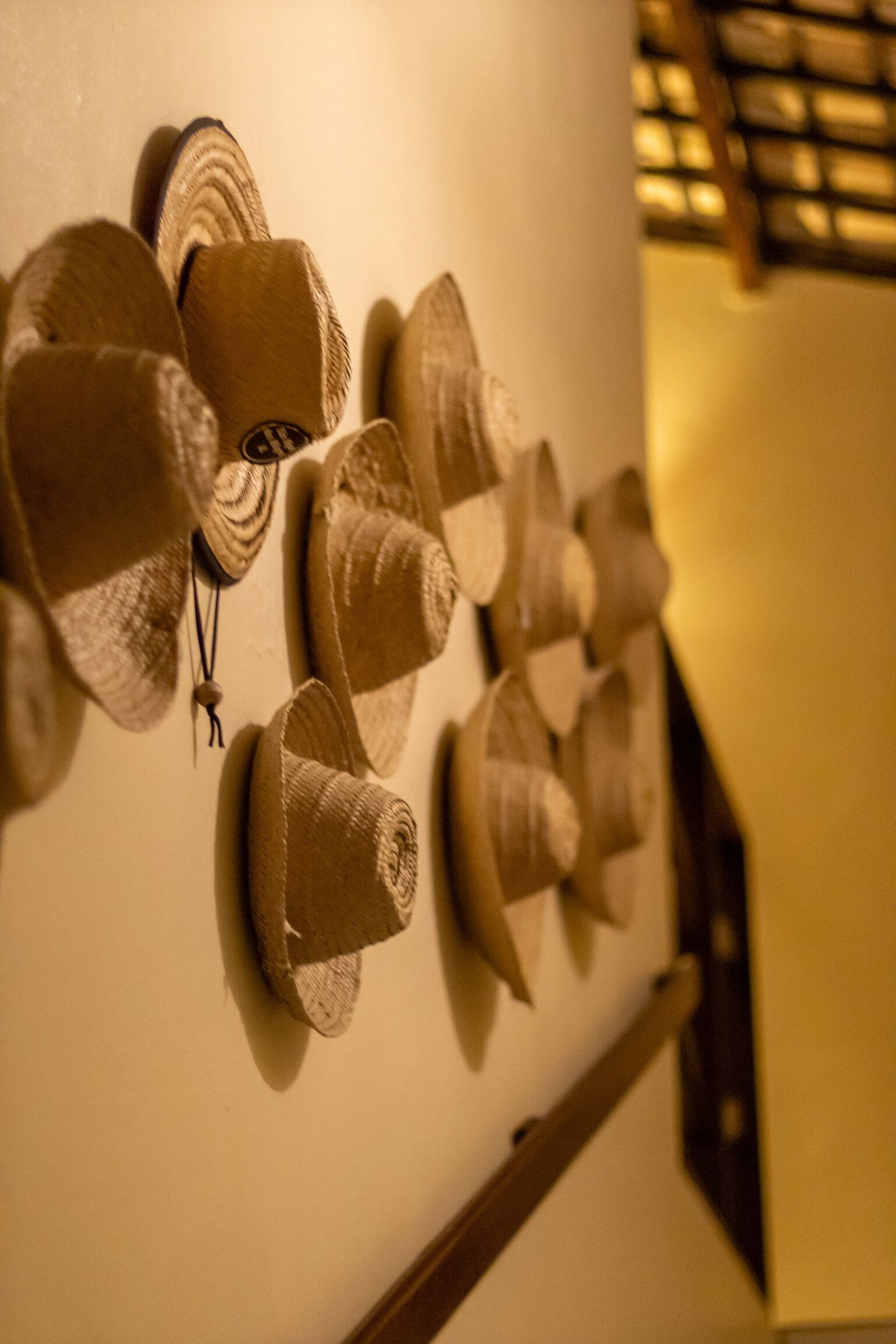 A wall with several hats hanging in a row.