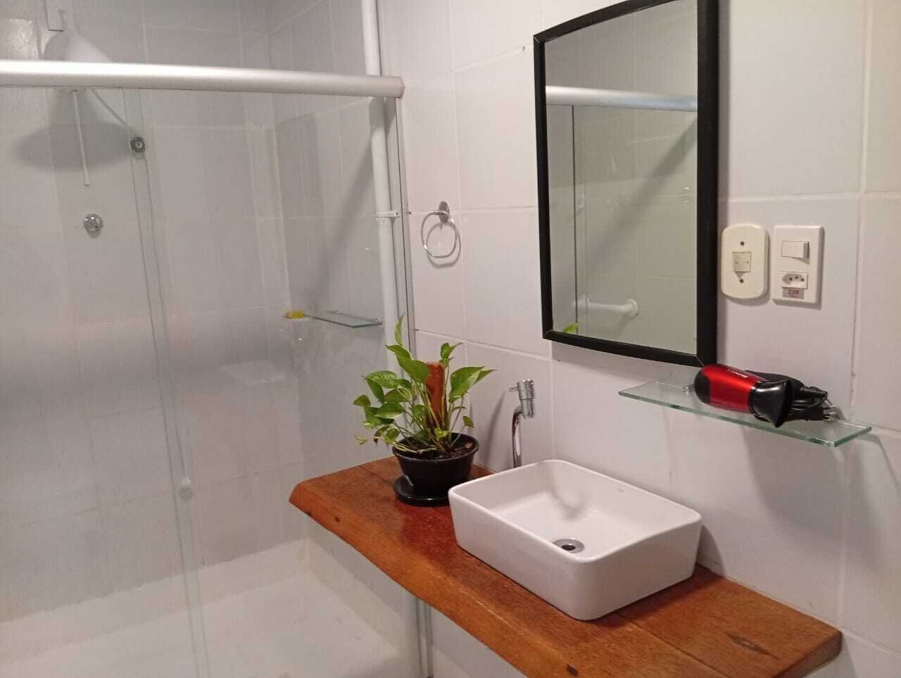 A bathroom with a glass shower enclosure, a white sink, a wooden countertop, a potted plant, a mirror, and a red hairdryer.
