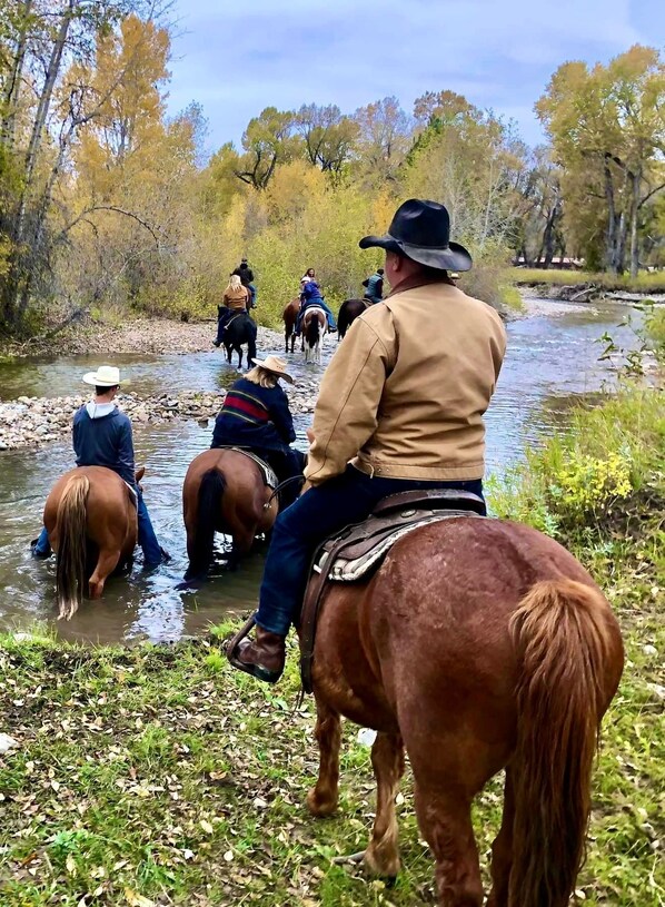Un groupe de personnes à cheval traverse un petit cours d’eau dans une zone boisée.