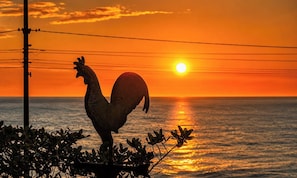 Beach/ocean view - Pousada Ondas da Grande – Penha/SC (Penha)
