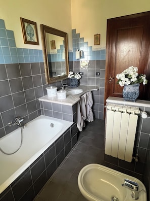 Shower, hair dryer, bidet, towels