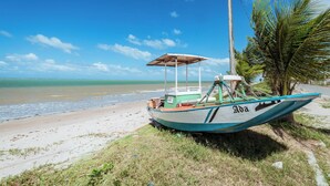 A boat parked on a beach with a clear view of the ocean and a palm tree nearby. - Casa c 4 su tes Piscina Churrasqueira e Garagem (Cabedelo)