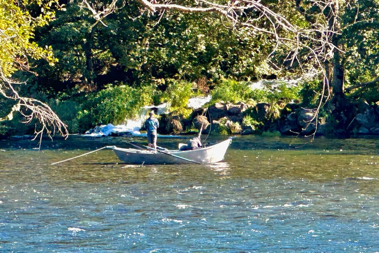 A boat on a river with a rocky shore and trees in the background.