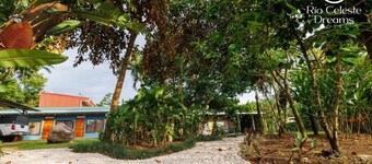 Hotel Rio Celeste Dreams