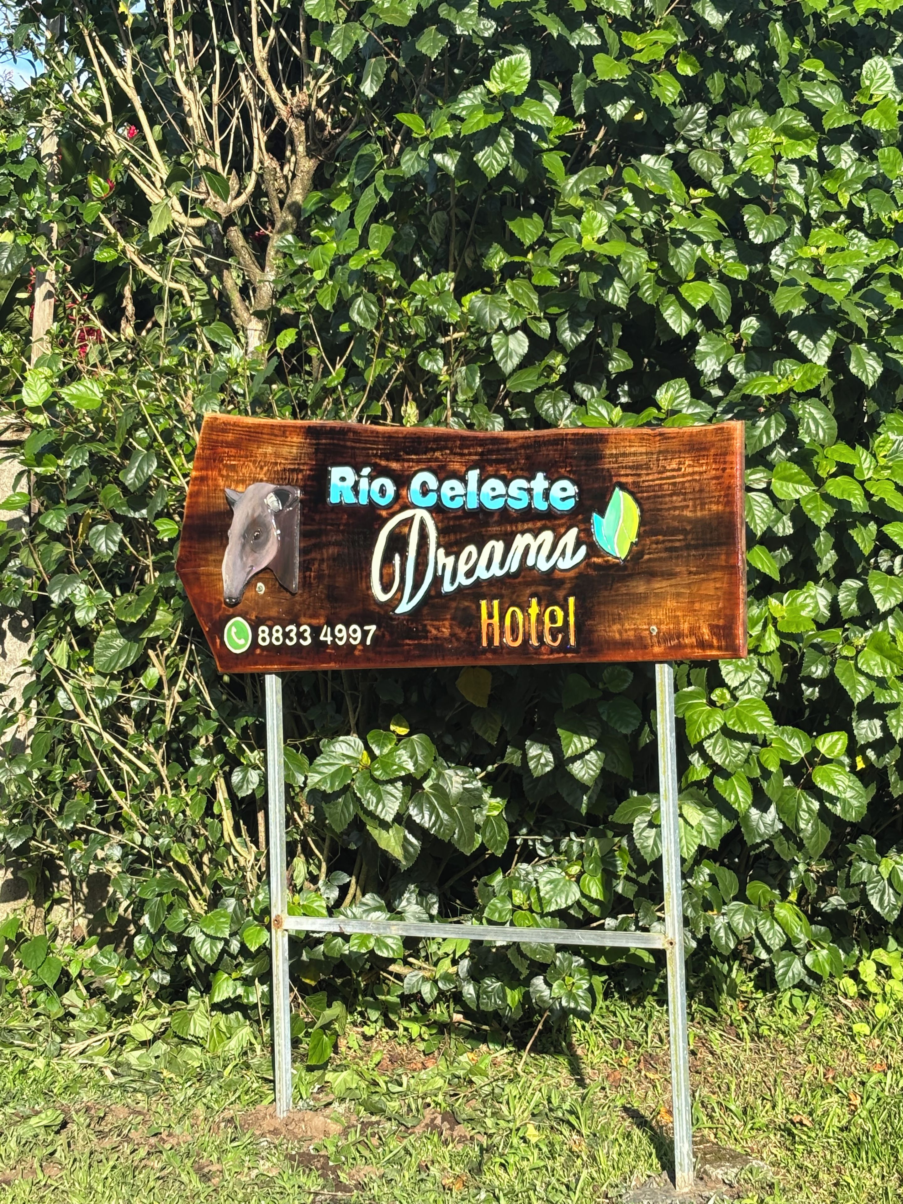 Uma placa de madeira com o texto 'Rio Celeste Dreams Hotel' e um número de telefone.