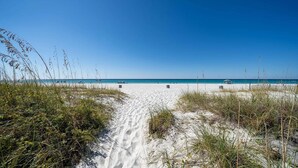 Un sentier qui longe la plage et mène à l’océan, avec du sable et une végétation clairsemée.