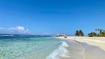 Una playa cerca