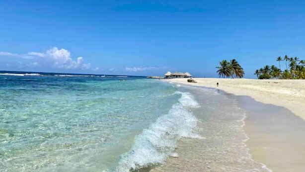 Ein Strand mit klarem türkisblauem Wasser, einem sandigen Ufer und einigen Palmen.