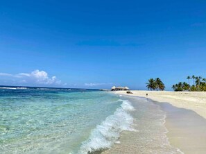 A beach with clear turquoise water, a sandy shore, and a few palm trees. - Beachside+WiFi+Pool+AC Juan Dolio Beach Las Velas (Playa Juan Dolio San Pedro de Macoris)