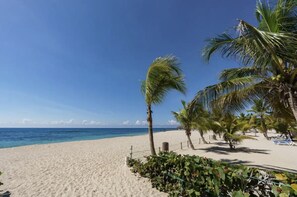 Ein Strand mit Palmen, sandigem Ufer und blauem Himmel.