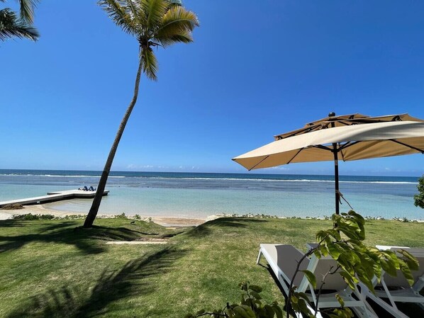 A beach view with a palm tree, a lounge chair, and a beach umbrella.