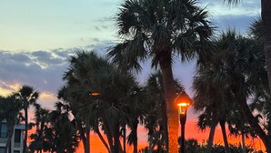 A sunset view with palm trees and a street lamp. - Newly renovated  2 bedroom condo on siesta key beach…steps to private beach. (Siesta Key)