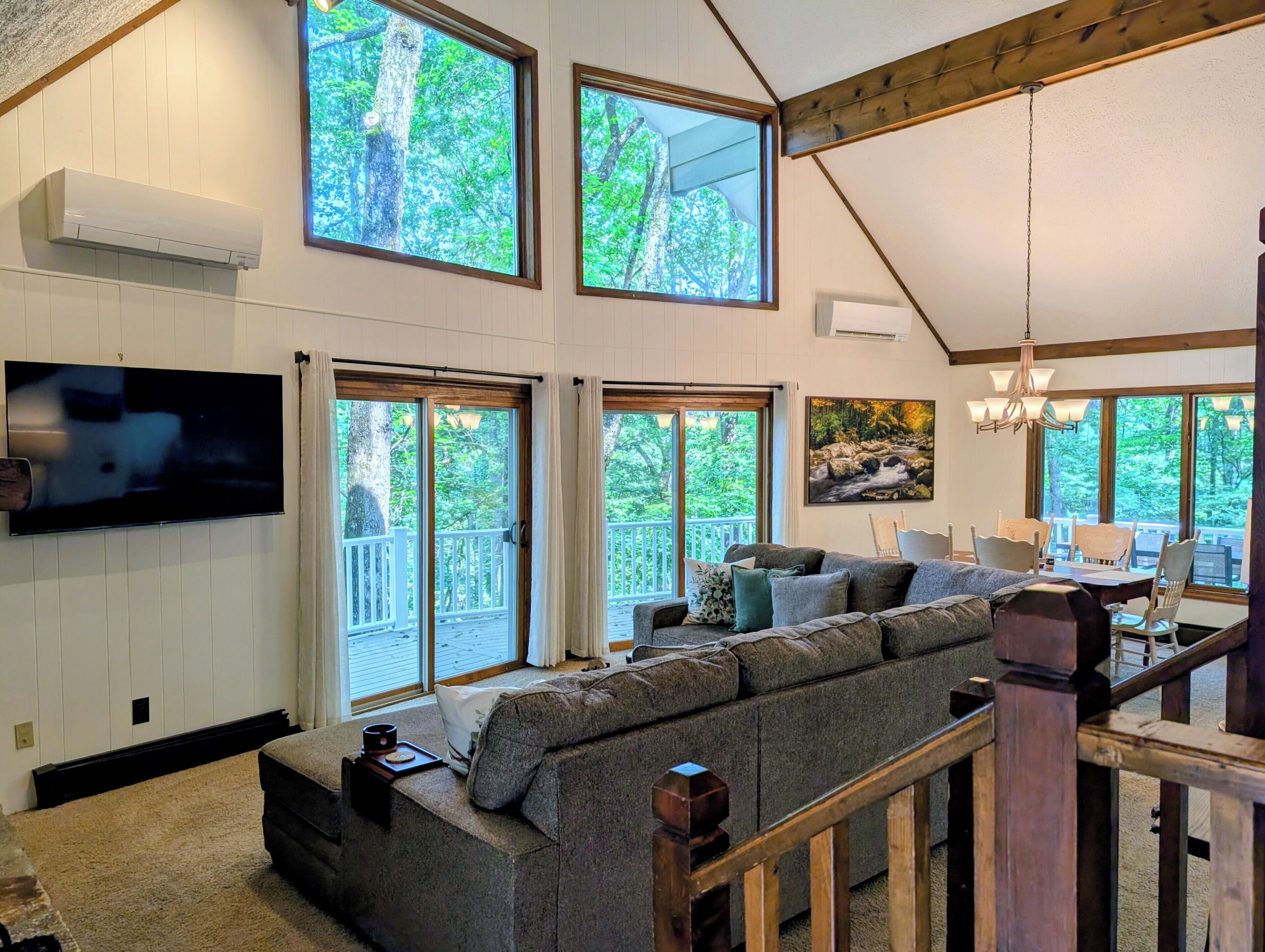 TV, fireplace, books