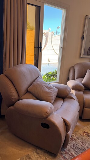 TV connectée, cheminée, lecteur de DVD, livres