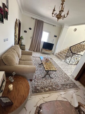 TV connectée, cheminée, lecteur de DVD, livres