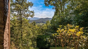 A lush garden with dense foliage and a view of distant mountains. - Almost Heaven – Porch Swing Mountain Getaway (Franklin)